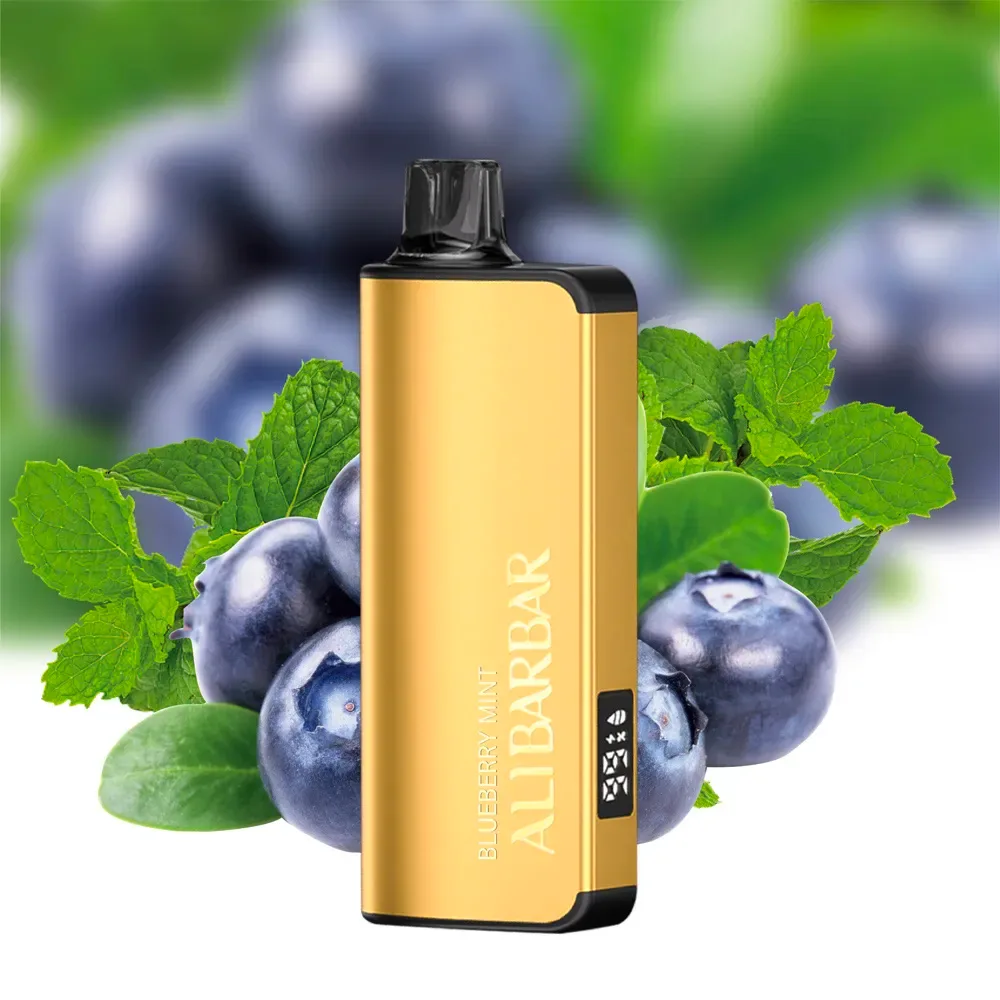 3eccba15f52840a1580eba87c6173e04.png Alibarbar INGOT 9000 Blueberry Mint - Image 1