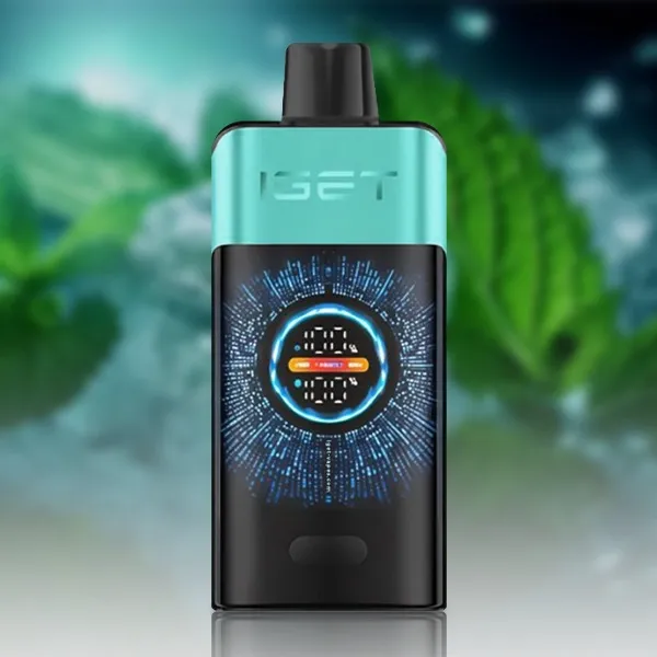 5183085813 IGET One 12000 Mountain Spring Mint ice - Image 1