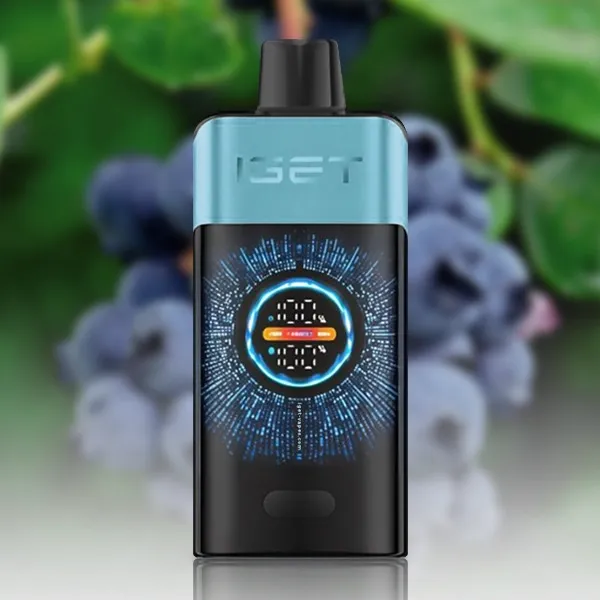 5183152865 (1) IGET One 12000 Blueberry Ice - Image 1